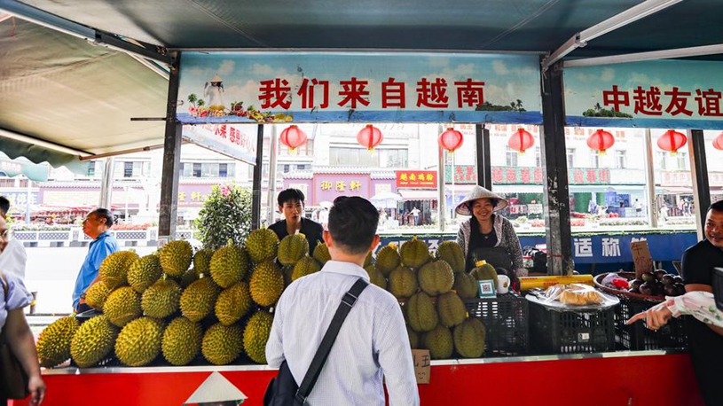 以文在寅政