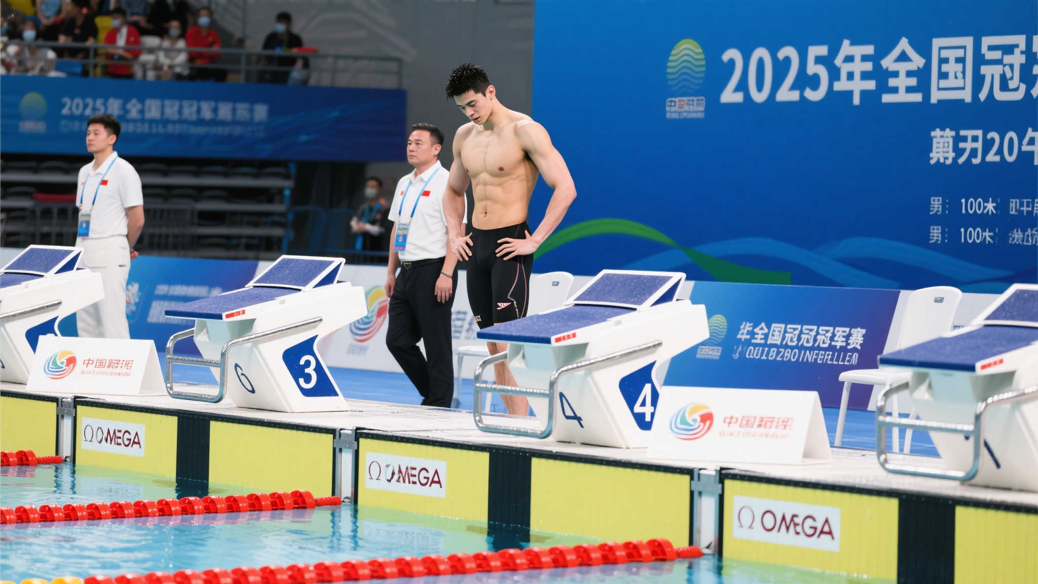 这一成就的 这一成就的